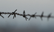 OSWIECIM, POLAND – JANUARY 21:A view of the fences at Auschwitz II-Birkenau, the former G...