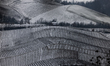 In Langhe, Piedmont, Italy, on February 3, 2026, a panorama of snow-covered vineyards appe...