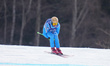 Florian Schieder (Italy)  competes during the Men's Downhill Alpine Skiing mens final   co...
