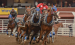 Layne MacGillivray from Halkirk AB, during the GMC Rangeland Derby's nine chuckwagon races...