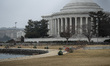 New Cherry Blossom trees arrive at the Jefferson Memorial following renovations to the Tid...