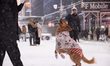 People play with a dog in Times Square, Manhattan, as blizzard conditions persist for a se...