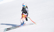 Janine Schmitt of Switzerland does not finish a race due to a fall during the Audi FIS Wor...