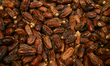 DOHA, QATAR - FEBRUARY 18:  A box filled with premium Khudri dates, a popular semi-dry va...