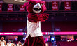 Hooter the Owl, the Temple Owls mascot, is present during an NCAA men's basketball game at...