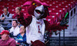 Hooter the Owl, the Temple Owls mascot, reacts during an NCAA men's basketball game at The...