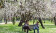 Men sit on a bench near blooming almond trees at the Badamwari Garden in downtown Srinagar...