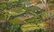 Flowers grow on a farm in Ichangu on the outskirts of Kathmandu Valley, Nepal, on March 14...