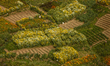 Flowers grow on a farm in Ichangu on the outskirts of Kathmandu Valley, Nepal, on March 14...