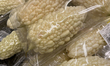 White bitter gourds are sold at a grocery store in Toronto, Ontario, Canada, on March 14,...