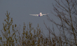 A Thai Airways Boeing 787-8 Dreamliner, registration HS-TQC, takes off from Brussels Inter...