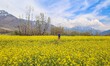 Aaqib Ahmad, 23, a Kashmiri farmer, walks across a mustard field on the outskirts of Srina...