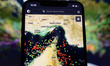 A smartphone screen displaying the MarineTraffic map shows a high concentration of ship be...