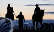 Riders lead thoroughbred racehorses from the main track during morning workouts at Woodbin...