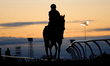 A rider takes a thoroughbred racehorse from the main track during morning workouts at Wood...