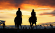 Riders lead thoroughbred racehorses from the main track during morning workouts at Woodbin...