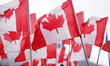 Canadian flags are displayed during the International Friendly match between Canada and Ic...