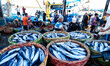 Fishermen carry baskets of fish to be sold at the fish auction place in Banda Aceh, Aceh,...
