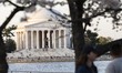 Cherry blossoms bloom along the Tidal Basin near the Jefferson Memorial in Washington, Uni...