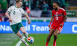 Terry Devlin of Northern Ireland is pressed by Sorba Thomas of Wales during the Internatio...