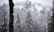 Heavy late-season snowfall occurs in Zakopane, Poland, on April 1, 2026, causing travel di...