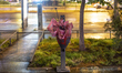 A broken umbrella in a trash bin on Bulevar Oslobodjenja in Novi Sad, Serbia, on May 16, 2...