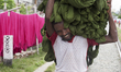A worker is carrying newly colored cloths to dry in the sun, Narayanganj, near the capital...