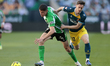 Sergi Altimira of Real Betis competes for the ball with Pol Lozano of RCD Espanyol de Barc...