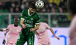 Lorenzo Simic of US Avellino plays during the Serie B match between Palermo FC and US Avel...
