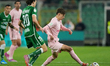 Aljosa Vasic of Palermo FC plays during the Serie B match between Palermo FC and US Avelli...