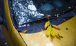 Leaves cover a car in Buenos Aires, Argentina, on April 6, 2026. 