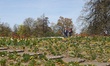 People walk among blooming spring flowers at Killesberg Park in Stuttgart, Baden-Wurttembe...