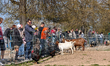 Visitors watch and feed animals at the petting zoo in Killesberg Park in Stuttgart, Baden-...