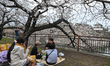 OSAKA, JAPAN - MARCH 30: 
 A group of young adults sit on picnic mats and socialize durin...