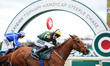 Will The Wise, ridden by Conor Stone-Walsh, wins the 16:05 Randox Topham Handicap Chase du...