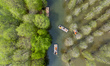 Tourists take boats to explore the Metasequoia forest at the Hongze Lake Wetland Scenic Ar...