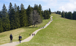 Hikers walk and rest on meadow trails in the Mangfall Mountains near Tegernsee, Bavaria, G...