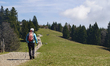 Hikers walk and rest on meadow trails in the Mangfall Mountains near Tegernsee, Bavaria, G...