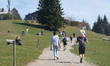 Hikers walk and rest on meadow trails in the Mangfall Mountains near Tegernsee, Bavaria, G...