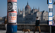 A man walks a dog past a Fidesz campaign poster featuring Peter Magyar and Volodymyr Zelen...