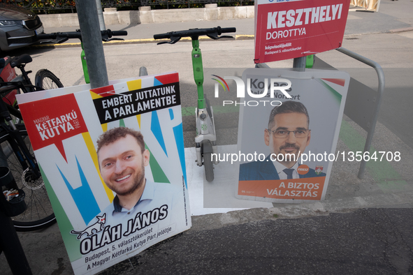 Election posters of Fidesz and the Hungarian Two-Tailed Dog Party (Magyar Ketfarku Kutya Part) are displayed near Heroes' Square (Hosok tere... by Mateusz Wlodarczyk/NurPhoto