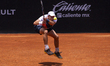 J. Duckworth returns the ball to S. Napolitano in the men's singles final of the ATP Chall...