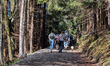 Hikers walk on forest trails in Gmund am Tegernsee, Upper Bavaria, Bavaria, Germany, on Ap...