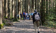 Hikers walk on forest trails in Gmund am Tegernsee, Upper Bavaria, Bavaria, Germany, on Ap...