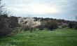 A plume of smoke from a grenade launcher rises behind trees during trials of ground roboti...