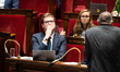 Charles Rodwell, deputy of the Ensemble pour la Republique (EPR) and rapporteur of the Com...