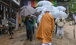 MIYAJIMA, JAPAN - APRIL 15: 
 A Buddhist monk in saffron robes leads a group of visitors...