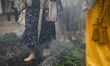 MIYAJIMA, JAPAN - APRIL 15: 
 Devotees and pilgrims walk barefoot through thick smoke and...