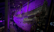 The 17th-century warship Vasa at the Vasa Museum in Stockholm, Sweden, on April 18, 2026....