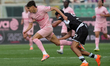Aljosa Vasic of Palermo FC plays during the Serie B match between Palermo FC and Cesena FC...
